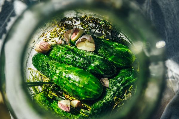 Fermentacja i kiszonki – modne i zdrowe trend kulinarne